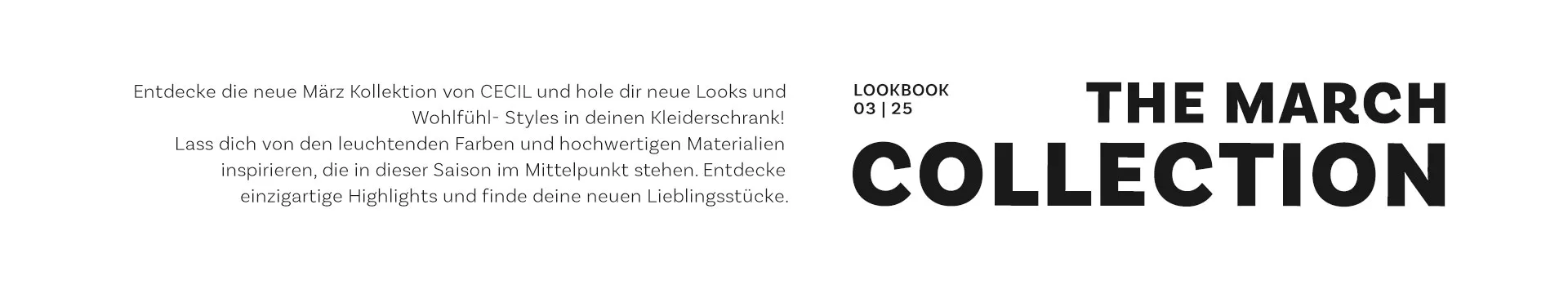 koll03/2025
